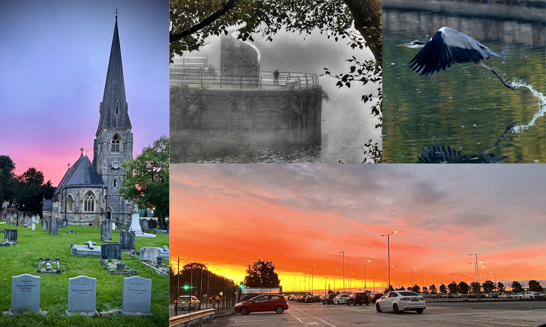A montage showing the winning photographs